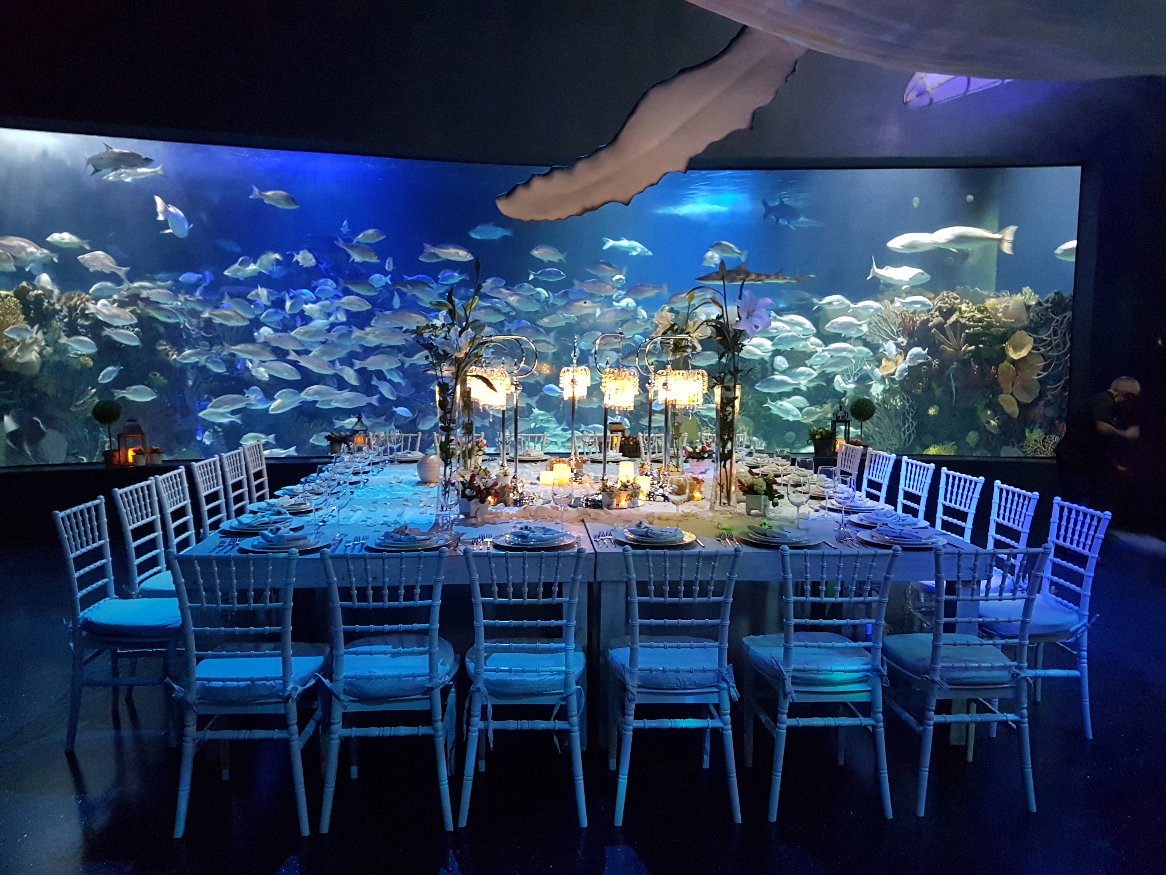 Ambientación de evento especial con diseño personalizado