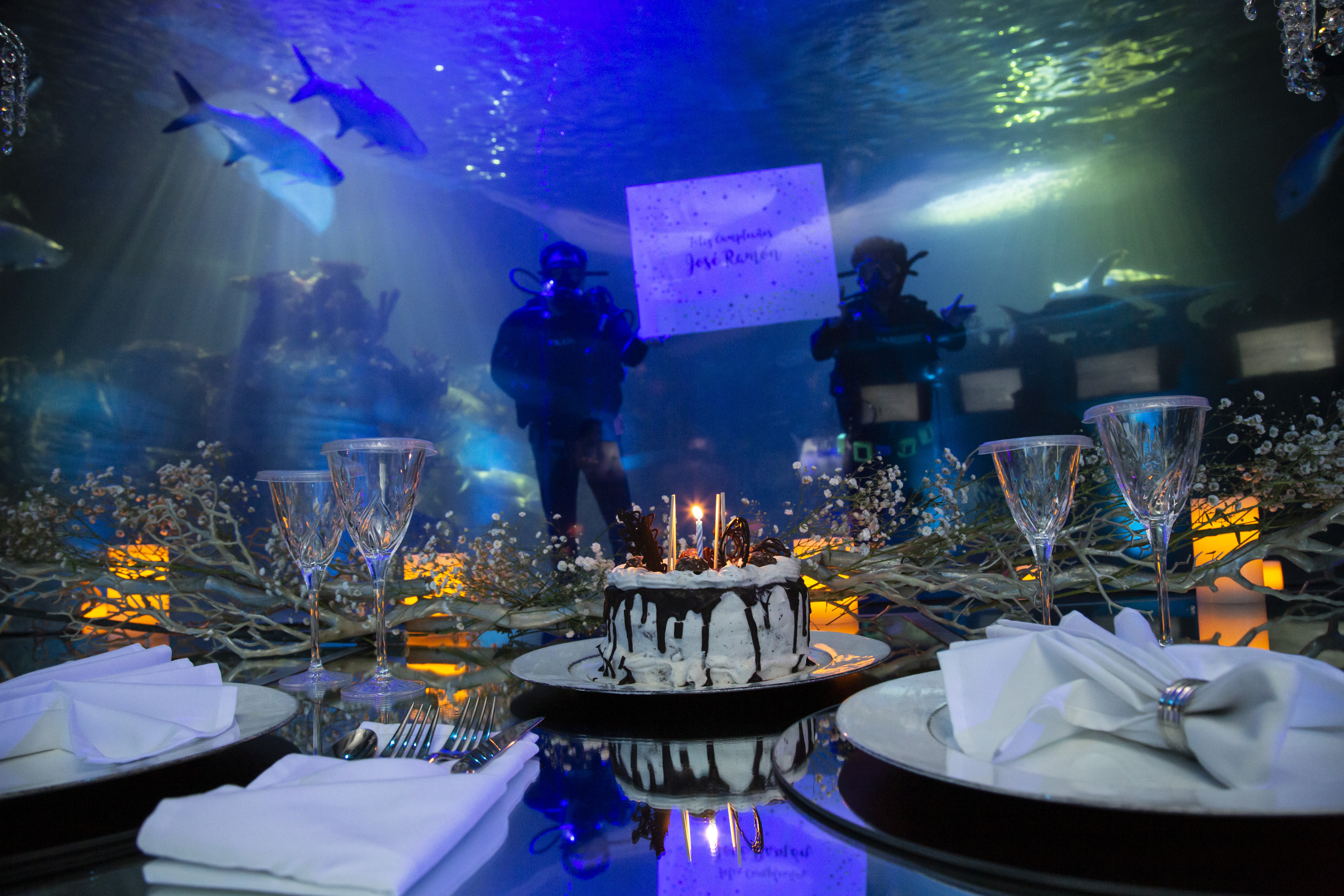Acuario Inbursa